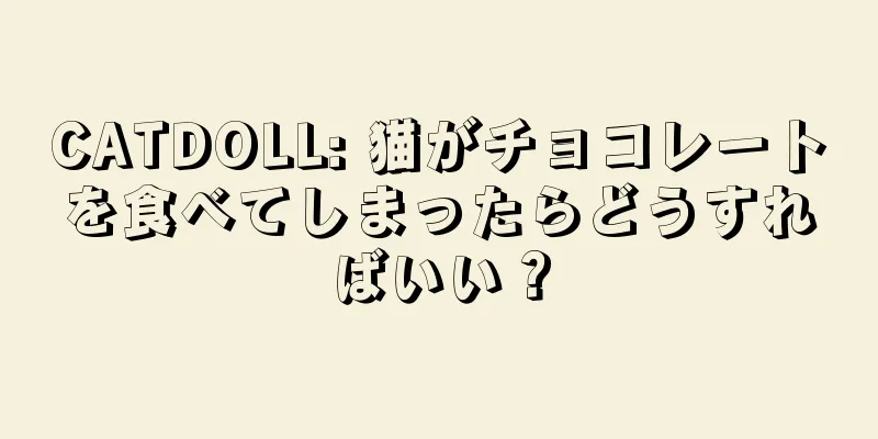 CATDOLL: 猫がチョコレートを食べてしまったらどうすればいい？