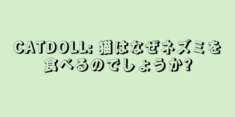 CATDOLL: 猫はなぜネズミを食べるのでしょうか?
