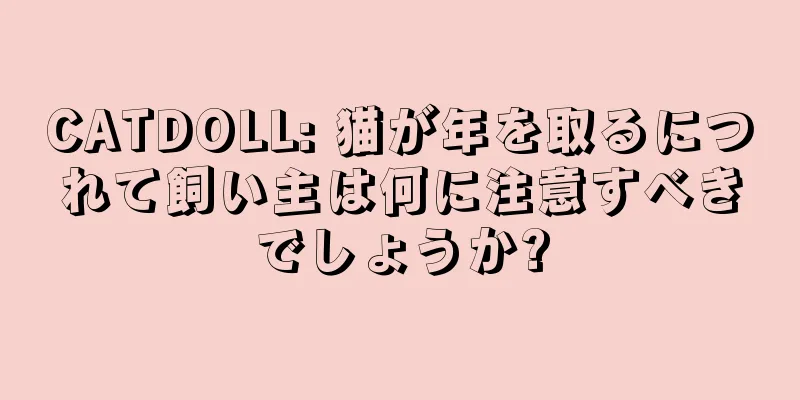 CATDOLL: 猫が年を取るにつれて飼い主は何に注意すべきでしょうか?