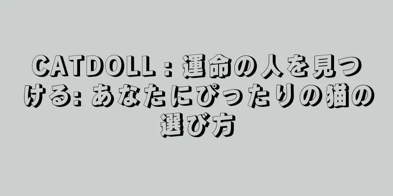 CATDOLL : 運命の人を見つける: あなたにぴったりの猫の選び方