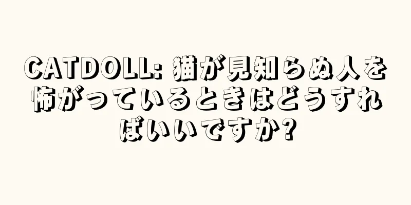 CATDOLL: 猫が見知らぬ人を怖がっているときはどうすればいいですか?