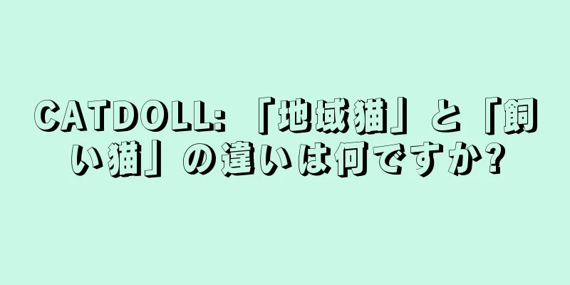 CATDOLL: 「地域猫」と「飼い猫」の違いは何ですか?