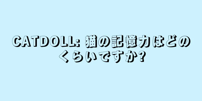 CATDOLL: 猫の記憶力はどのくらいですか?