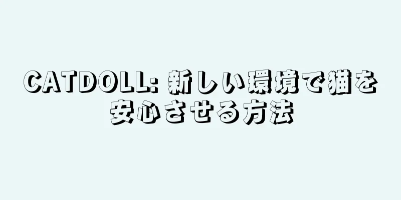CATDOLL: 新しい環境で猫を安心させる方法