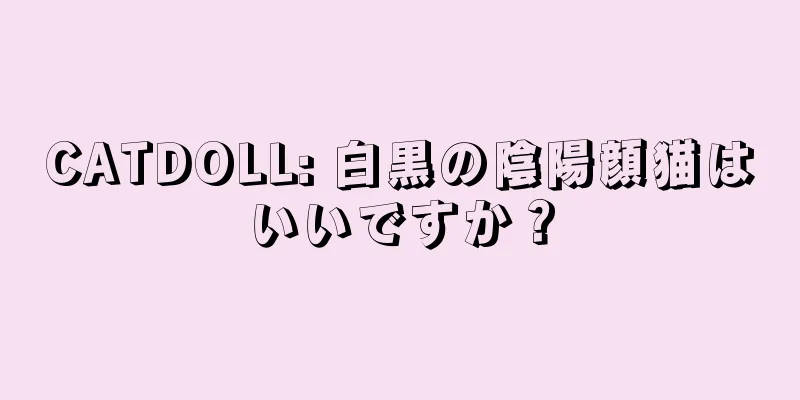 CATDOLL: 白黒の陰陽顔猫はいいですか？