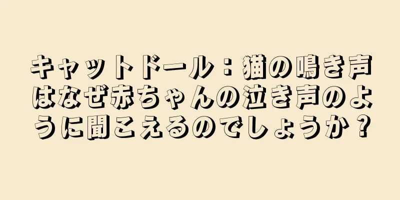 キャットドール：猫の鳴き声はなぜ赤ちゃんの泣き声のように聞こえるのでしょうか？