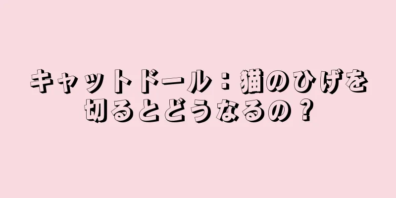 キャットドール：猫のひげを切るとどうなるの？