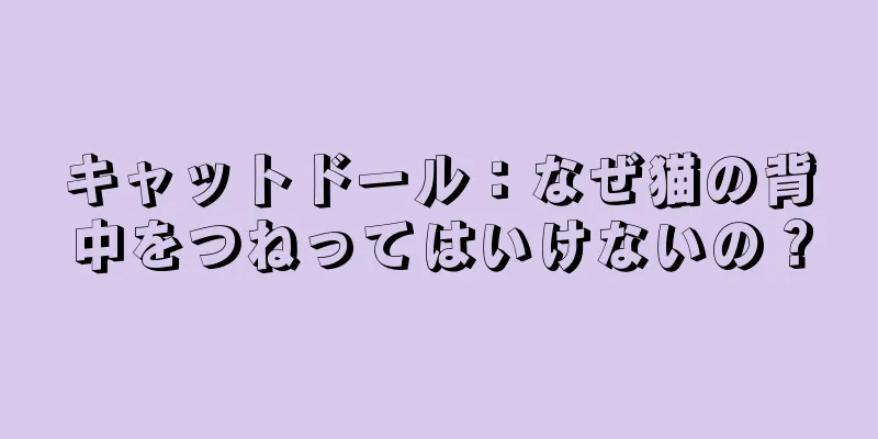 キャットドール：なぜ猫の背中をつねってはいけないの？