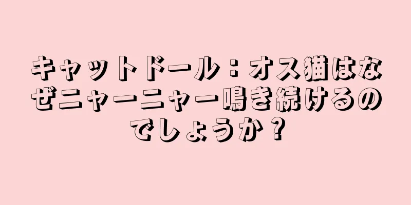 キャットドール：オス猫はなぜニャーニャー鳴き続けるのでしょうか？