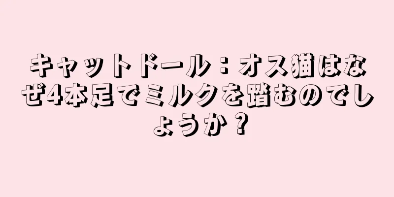 キャットドール：オス猫はなぜ4本足でミルクを踏むのでしょうか？