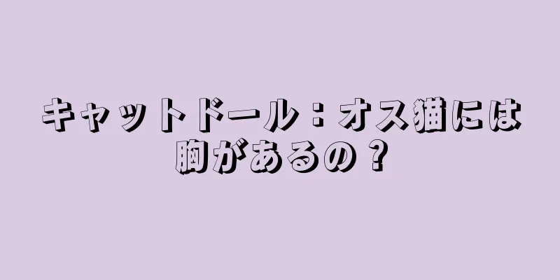 キャットドール：オス猫には胸があるの？
