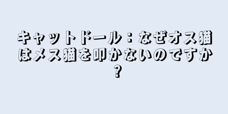 キャットドール：なぜオス猫はメス猫を叩かないのですか？