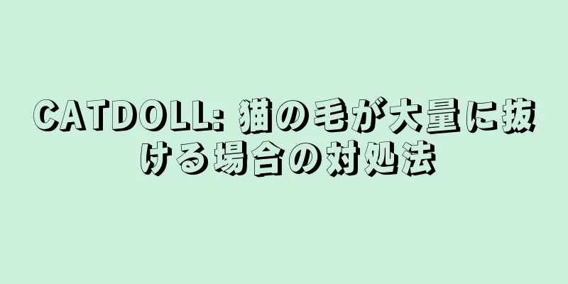 CATDOLL: 猫の毛が大量に抜ける場合の対処法