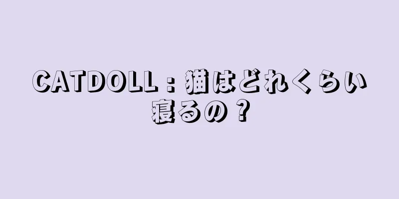 CATDOLL : 猫はどれくらい寝るの？