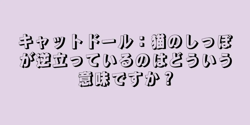 キャットドール：猫のしっぽが逆立っているのはどういう意味ですか？