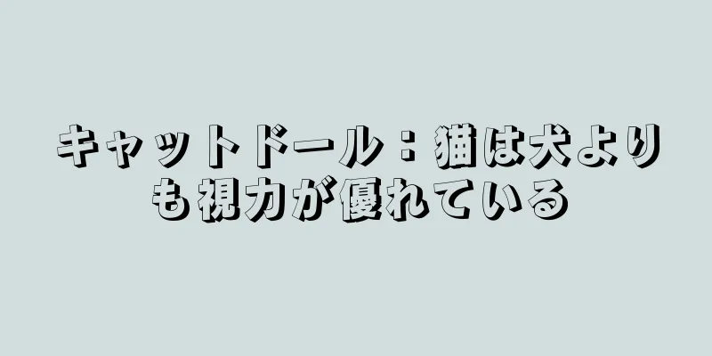 キャットドール：猫は犬よりも視力が優れている