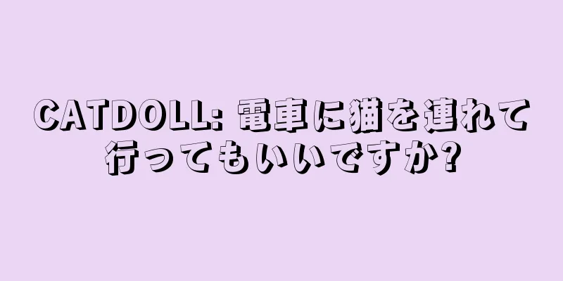 CATDOLL: 電車に猫を連れて行ってもいいですか?