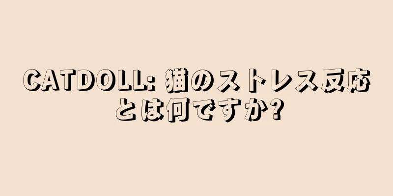 CATDOLL: 猫のストレス反応とは何ですか?