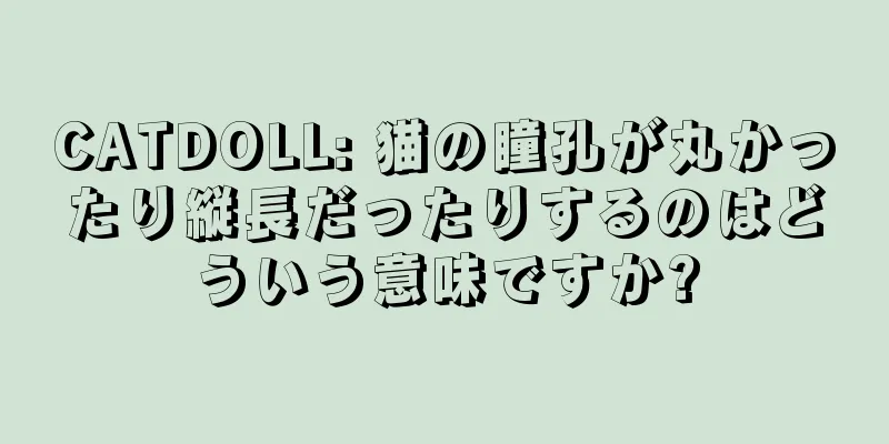 CATDOLL: 猫の瞳孔が丸かったり縦長だったりするのはどういう意味ですか?