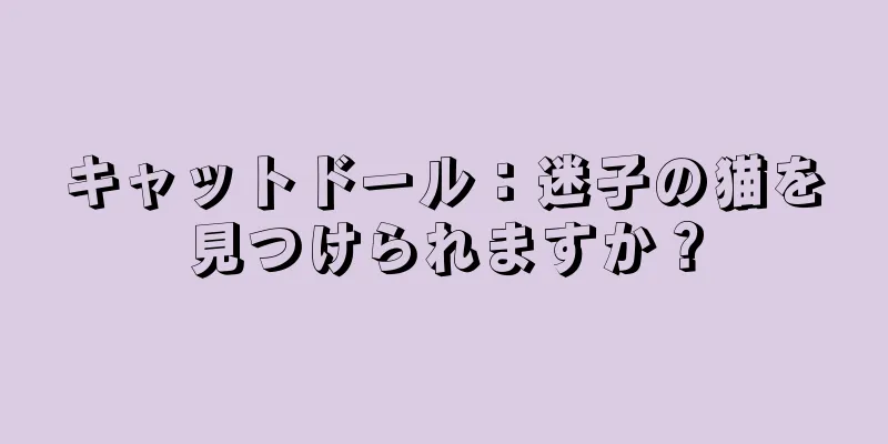 キャットドール：迷子の猫を見つけられますか？