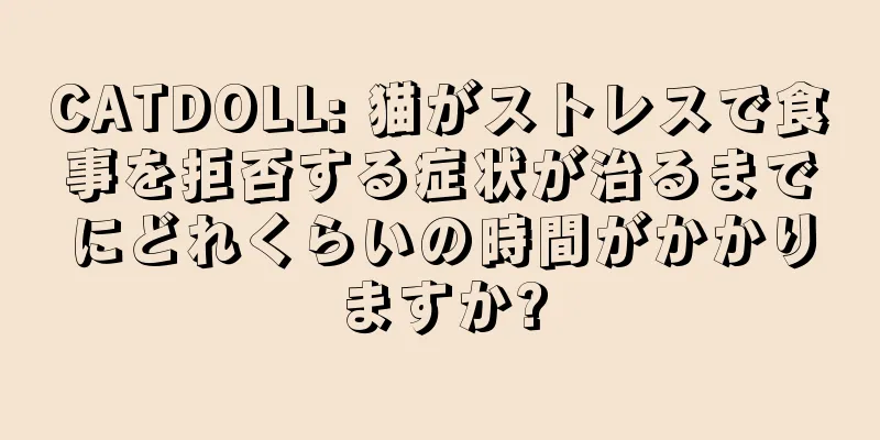 CATDOLL: 猫がストレスで食事を拒否する症状が治るまでにどれくらいの時間がかかりますか?