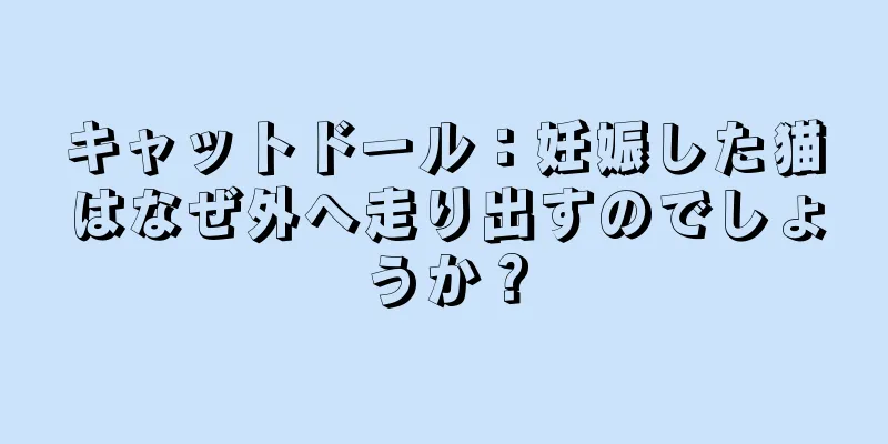キャットドール：妊娠した猫はなぜ外へ走り出すのでしょうか？