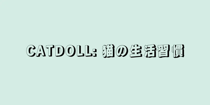 CATDOLL: 猫の生活習慣
