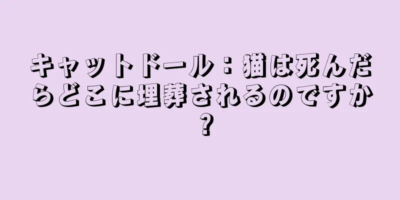 キャットドール：猫は死んだらどこに埋葬されるのですか？