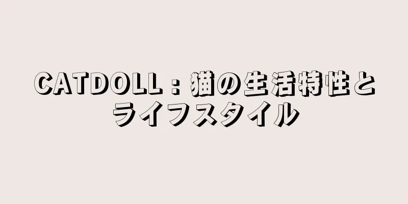 CATDOLL : 猫の生活特性とライフスタイル