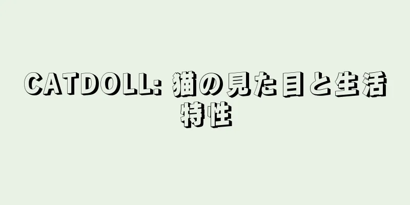 CATDOLL: 猫の見た目と生活特性
