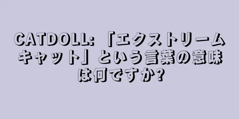 CATDOLL: 「エクストリームキャット」という言葉の意味は何ですか?