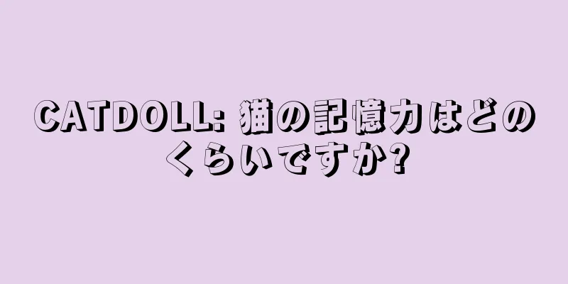 CATDOLL: 猫の記憶力はどのくらいですか?