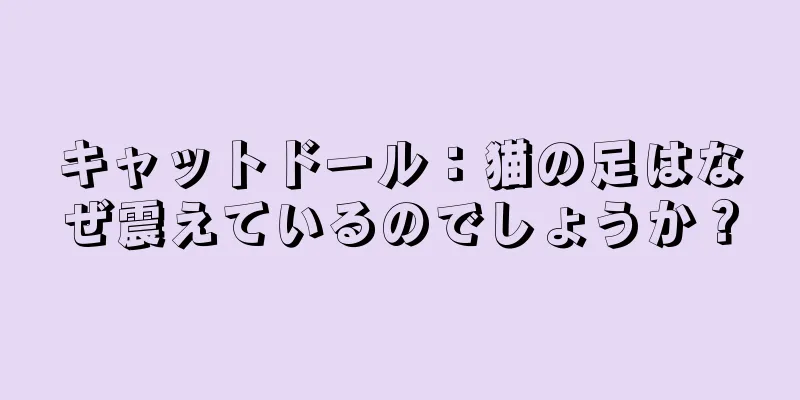 キャットドール：猫の足はなぜ震えているのでしょうか？