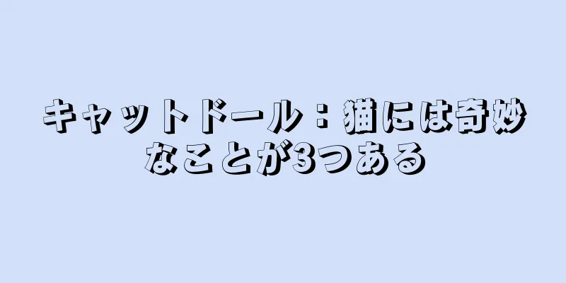 キャットドール：猫には奇妙なことが3つある