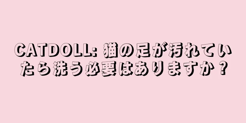 CATDOLL: 猫の足が汚れていたら洗う必要はありますか？