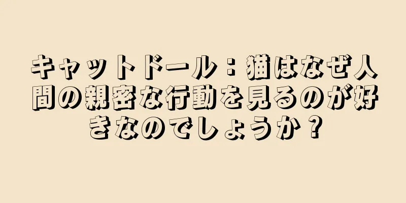 キャットドール：猫はなぜ人間の親密な行動を見るのが好きなのでしょうか？
