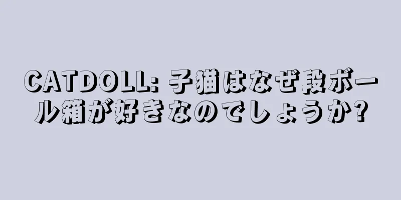 CATDOLL: 子猫はなぜ段ボール箱が好きなのでしょうか?