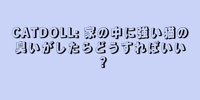 CATDOLL: 家の中に強い猫の臭いがしたらどうすればいい？
