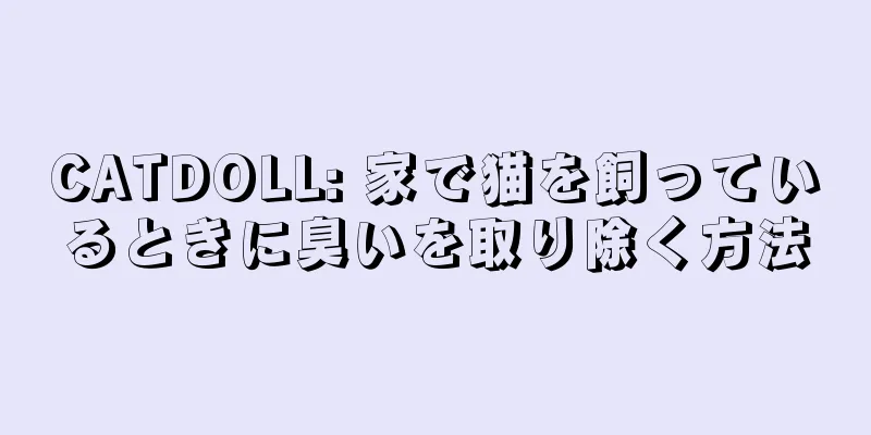 CATDOLL: 家で猫を飼っているときに臭いを取り除く方法