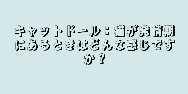 キャットドール：猫が発情期にあるときはどんな感じですか？
