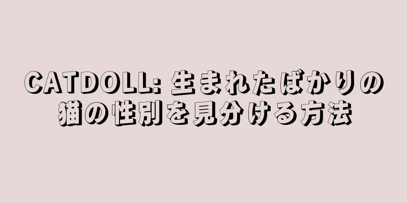 CATDOLL: 生まれたばかりの猫の性別を見分ける方法