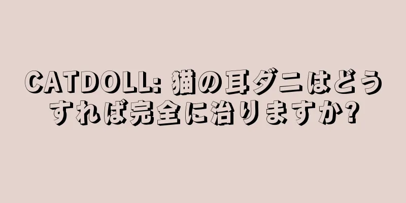 CATDOLL: 猫の耳ダニはどうすれば完全に治りますか?