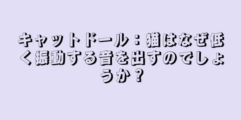 キャットドール：猫はなぜ低く振動する音を出すのでしょうか？