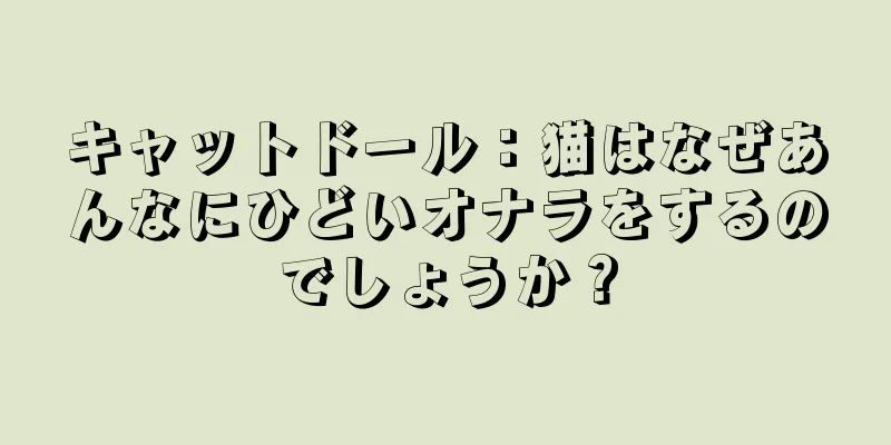 キャットドール：猫はなぜあんなにひどいオナラをするのでしょうか？