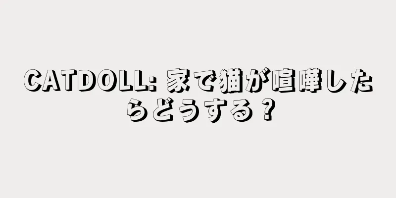 CATDOLL: 家で猫が喧嘩したらどうする？
