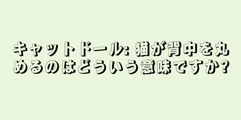 キャットドール: 猫が背中を丸めるのはどういう意味ですか?