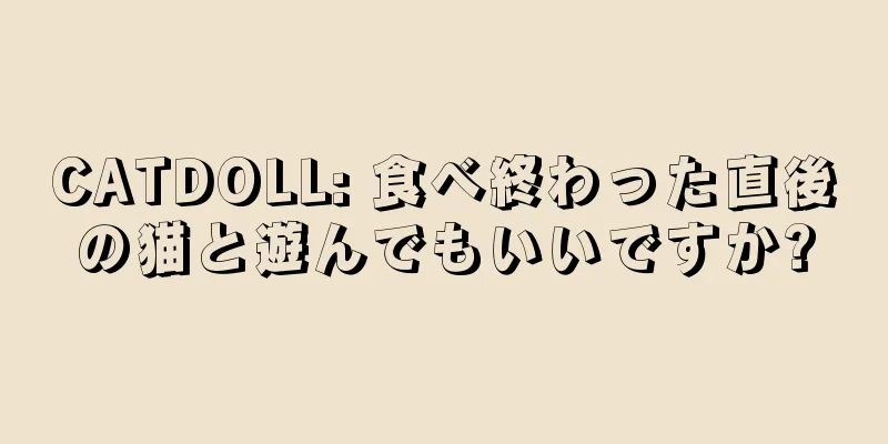 CATDOLL: 食べ終わった直後の猫と遊んでもいいですか?