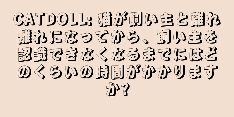 CATDOLL: 猫が飼い主と離れ離れになってから、飼い主を認識できなくなるまでにはどのくらいの時間がかかりますか?