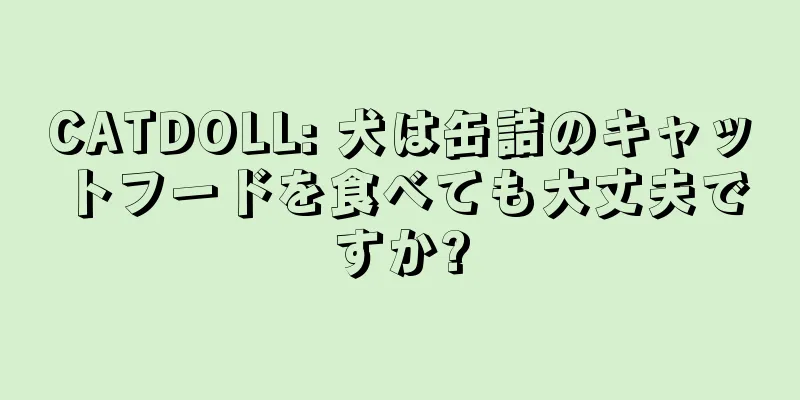 CATDOLL: 犬は缶詰のキャットフードを食べても大丈夫ですか?