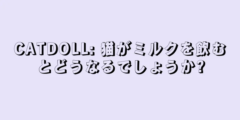 CATDOLL: 猫がミルクを飲むとどうなるでしょうか?